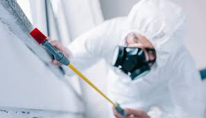 Best Pest Control for Warehouses  in Moose Lake, MN